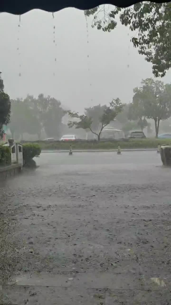 凉快不 雨雨雨 降火 一会雨一会太阳