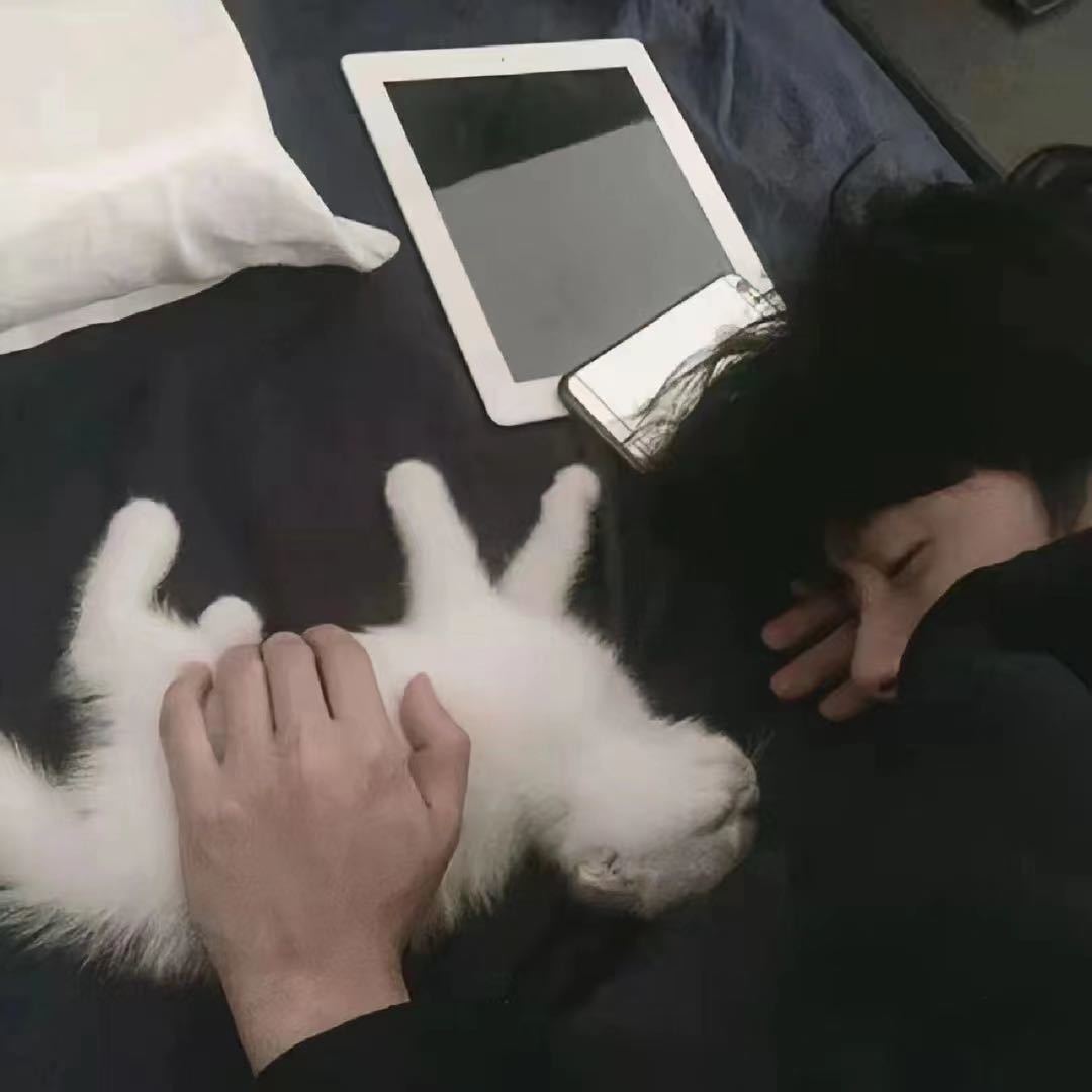 崔仁杰