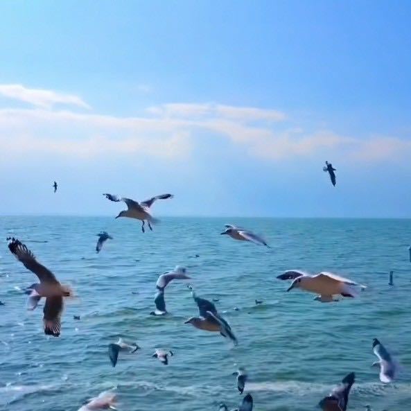 海万