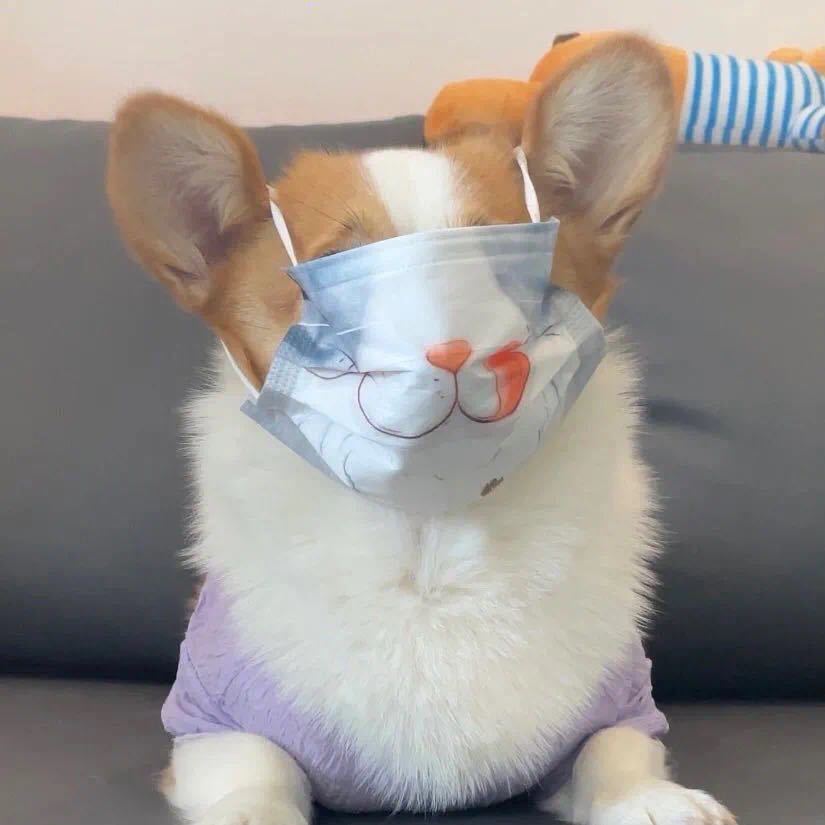丸比