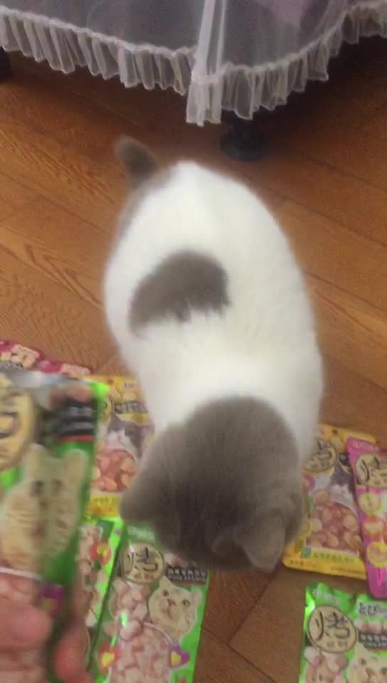 Fully eating then sl