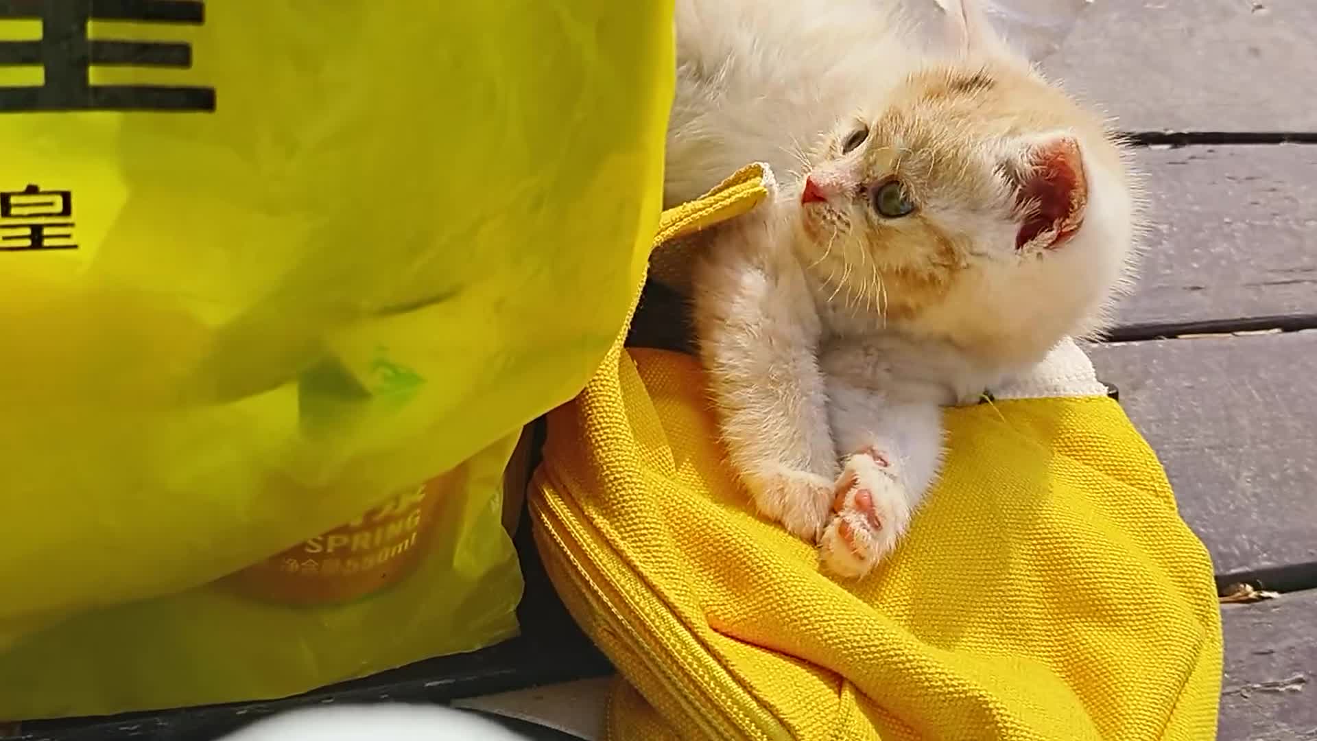 可以和小可爱说早安的一天😊😊😊