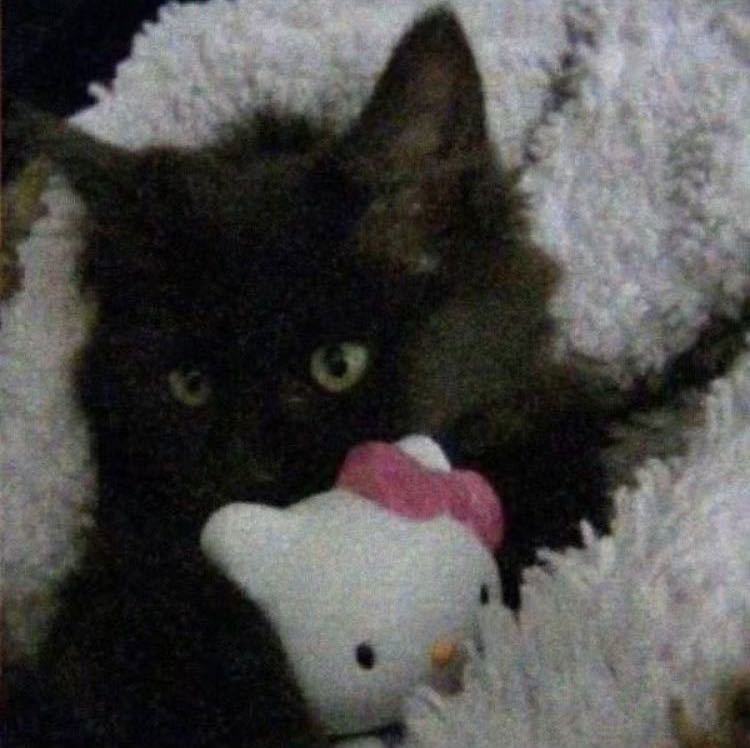 QwQ