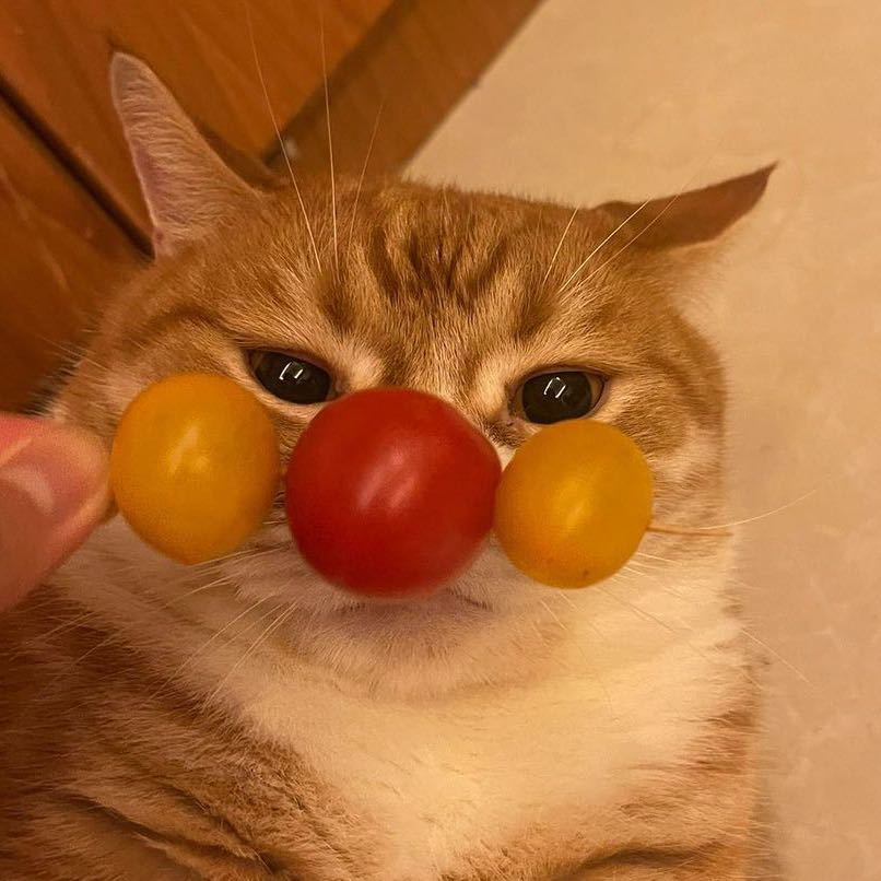 林龟龟