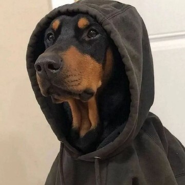 找找