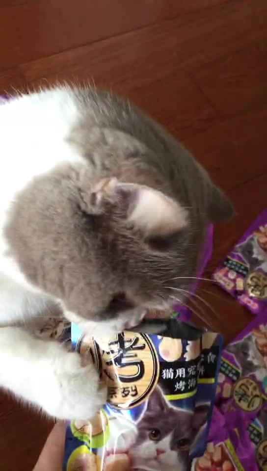 please give me something to eat ~:)