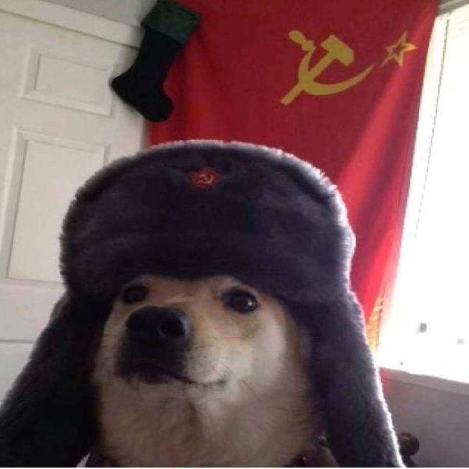 表情怪