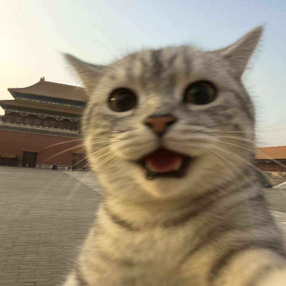 しち