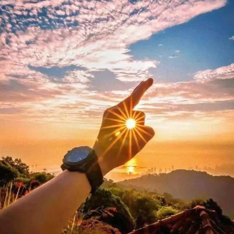 向日葵🌻