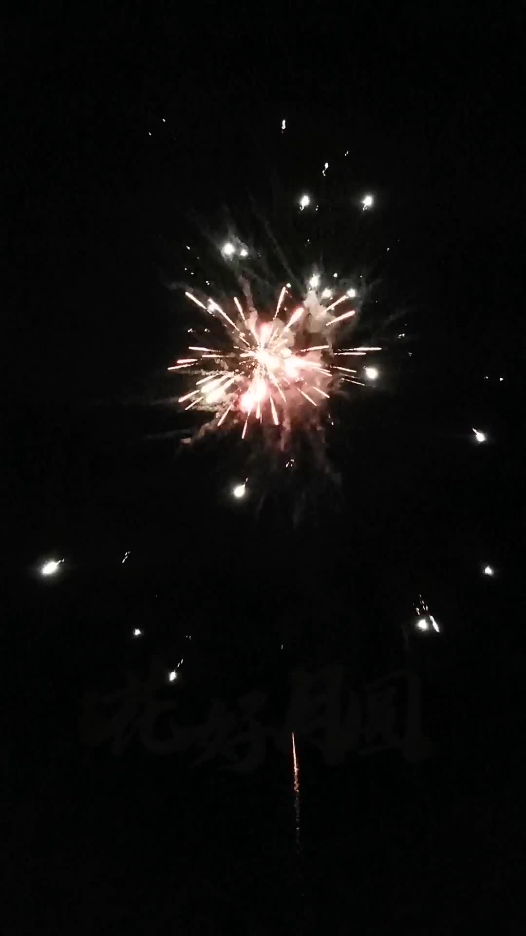 Happy moon festival 中秋快乐🥮