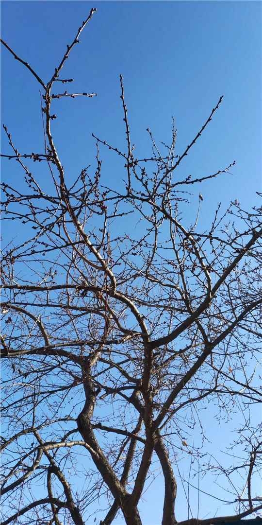 北京 房山 | 琉璃河二街三区29号_5