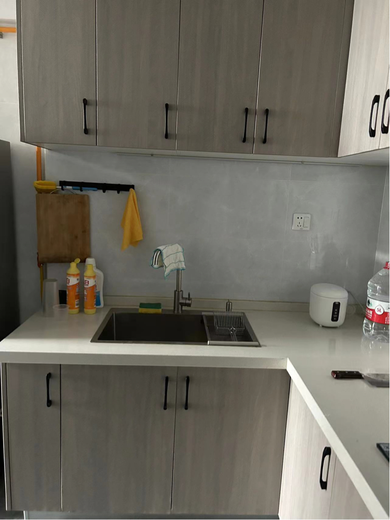 成都 高新區 | 新园大道_6