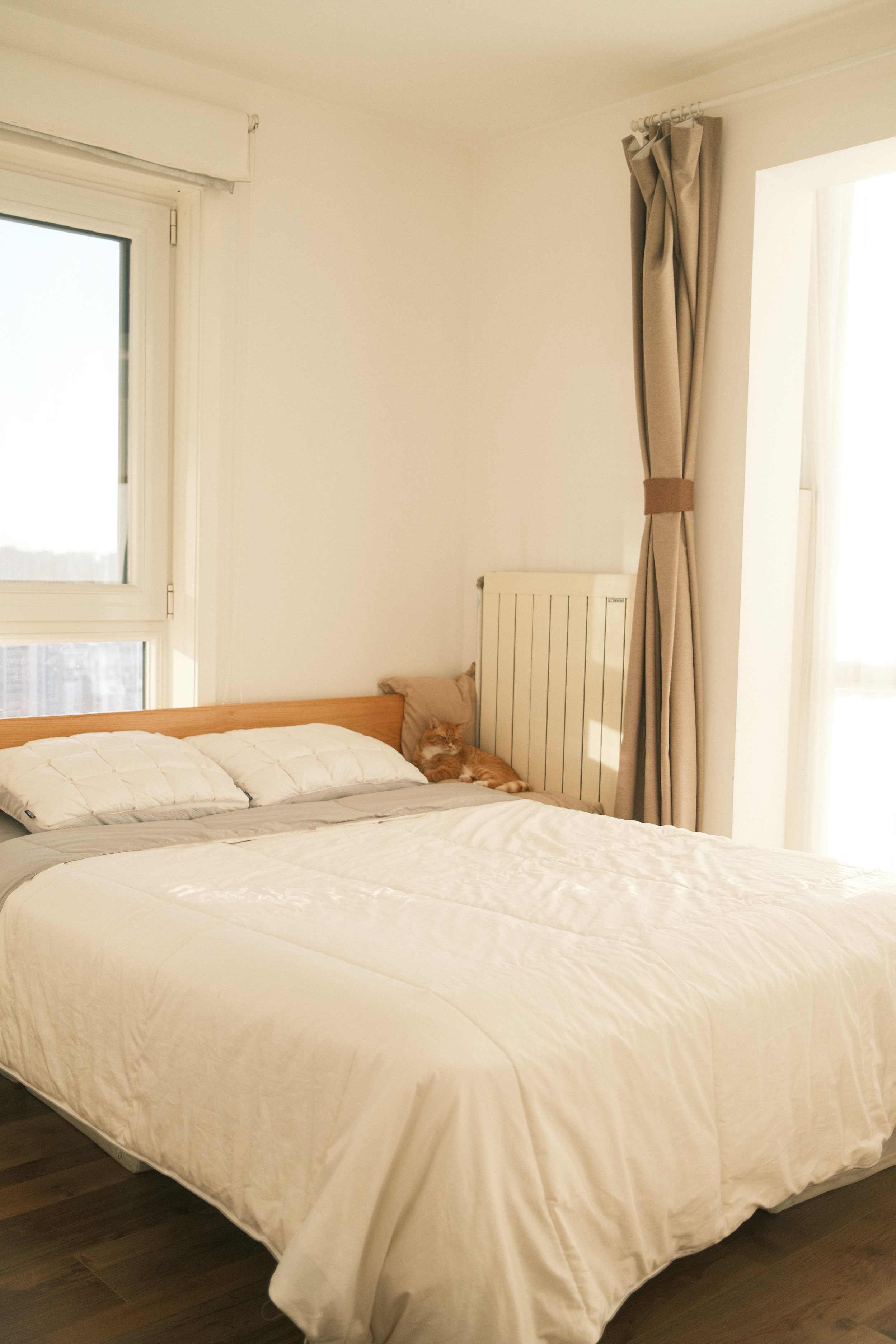 Beijing-Chaoyang-Cozy Home,Clean&Comfy,No Gender Limit,Hustle & Bustle,“Friends”,Chilled,LGBTQ Friendly,Pet Friendly