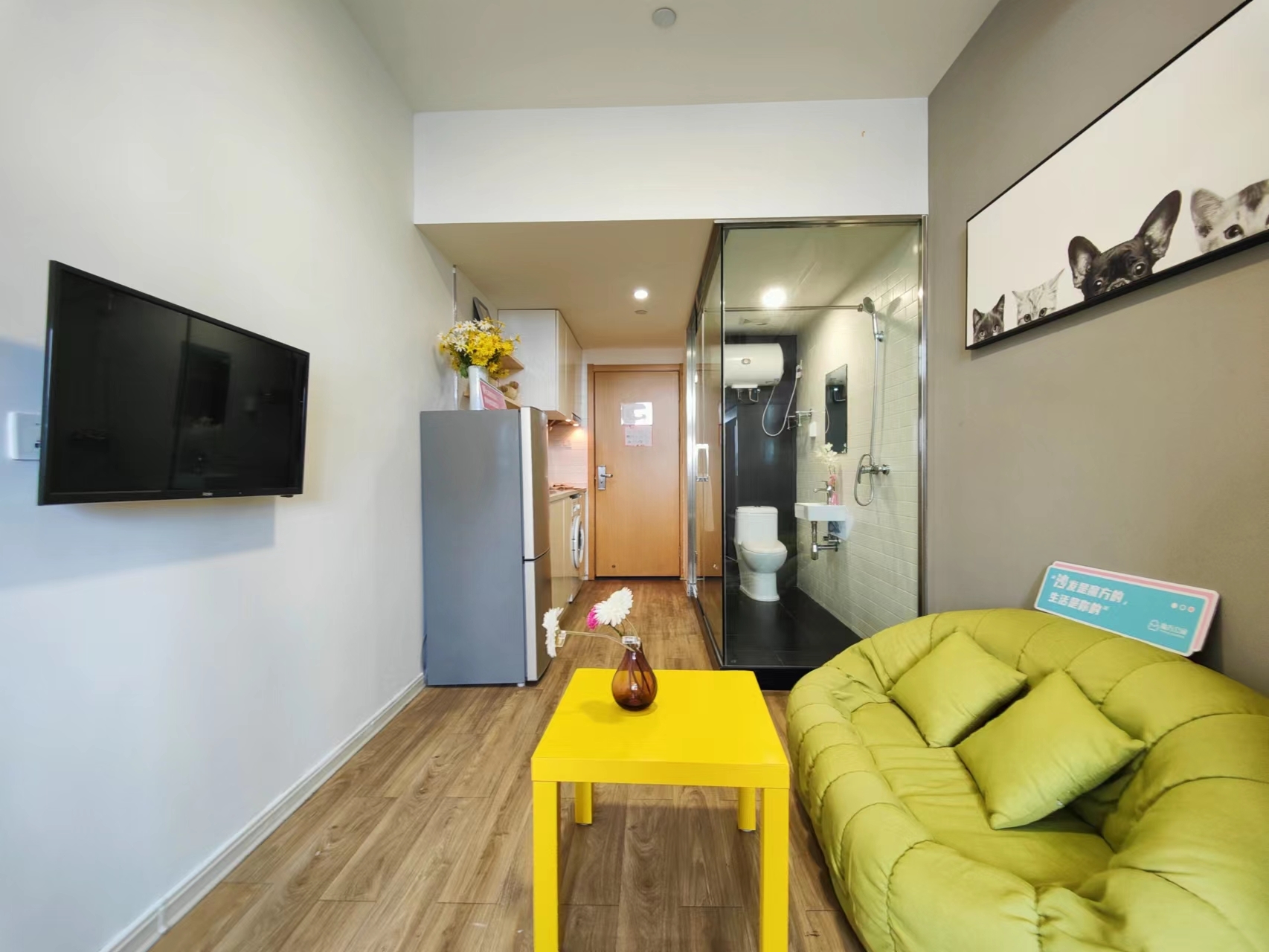 ShanghaiPudongCozy Gender Limit