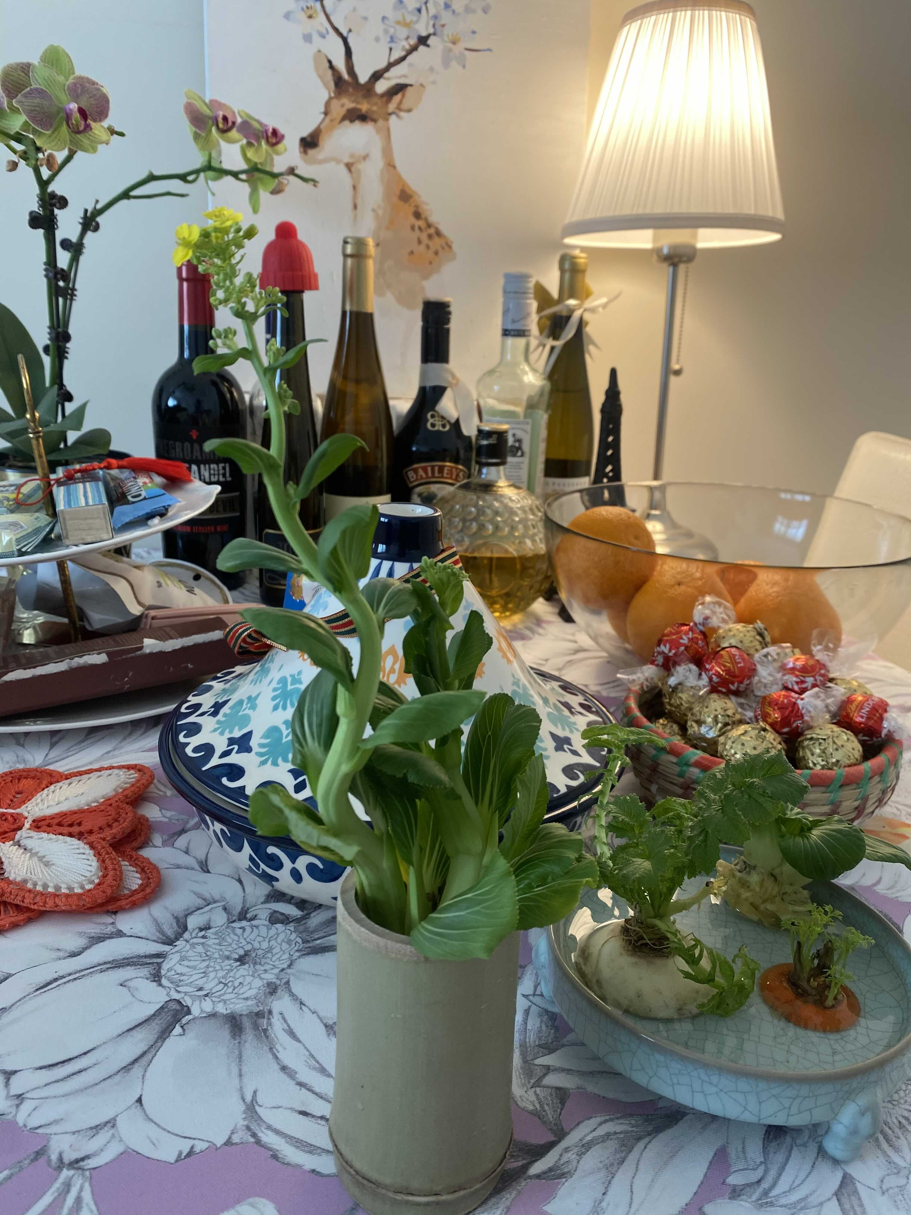 Lockdown Food or Flower?_3