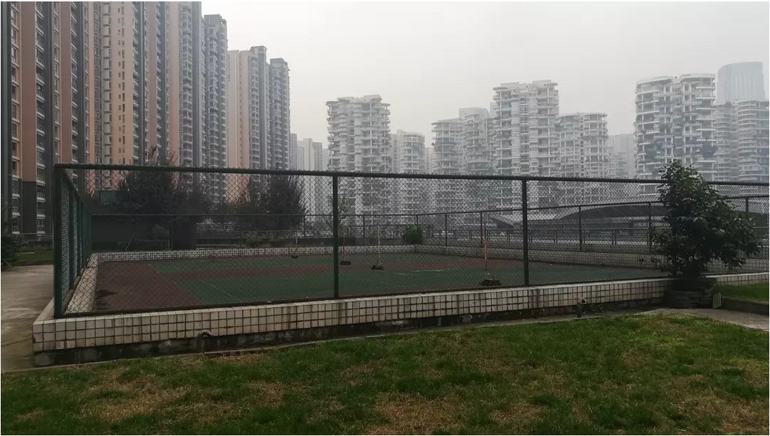 Chengdu Hi-Tech Zone | 世纪城路成达佳园_5