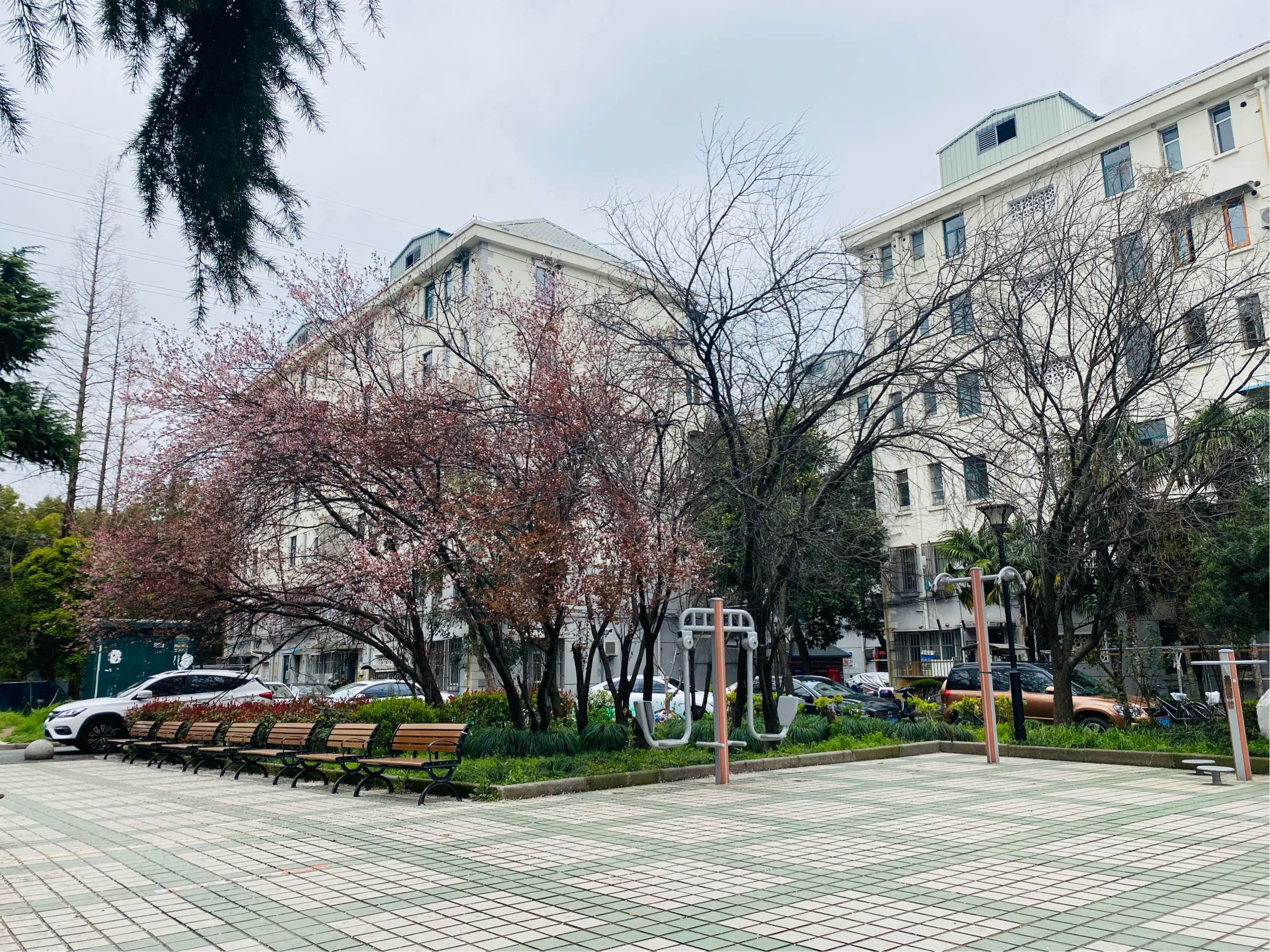 上海 浦東 | 成山路24弄德州四村_7