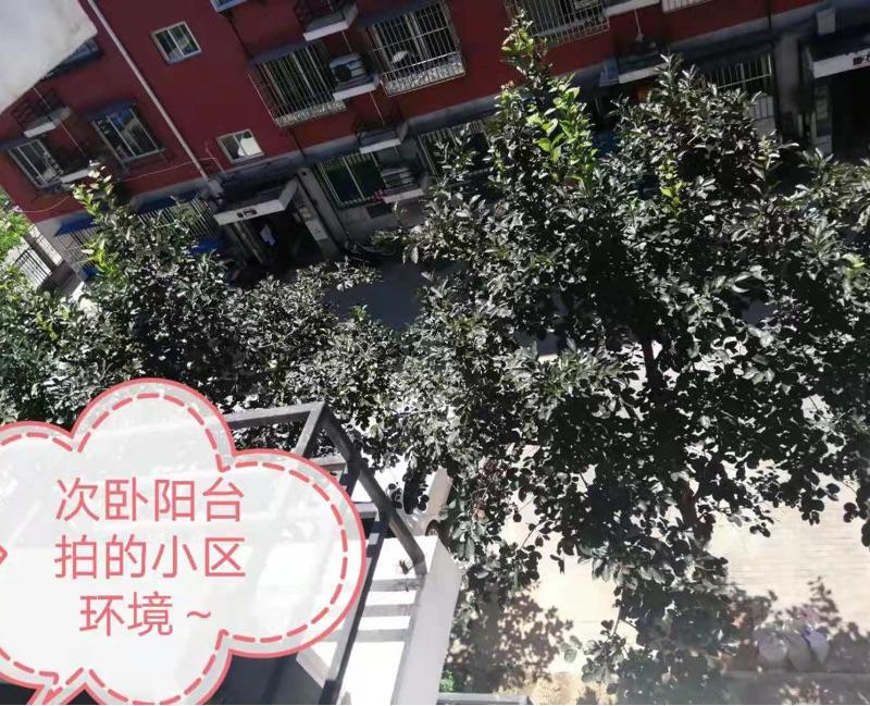 北京-昌平-Long term,正规两居室，南北双通，四个大阳台,合租,长租,找室友