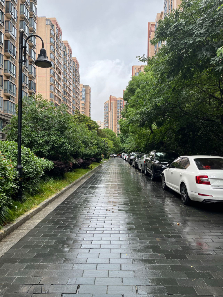 Shanghai Changning | 威宁路511弄_7