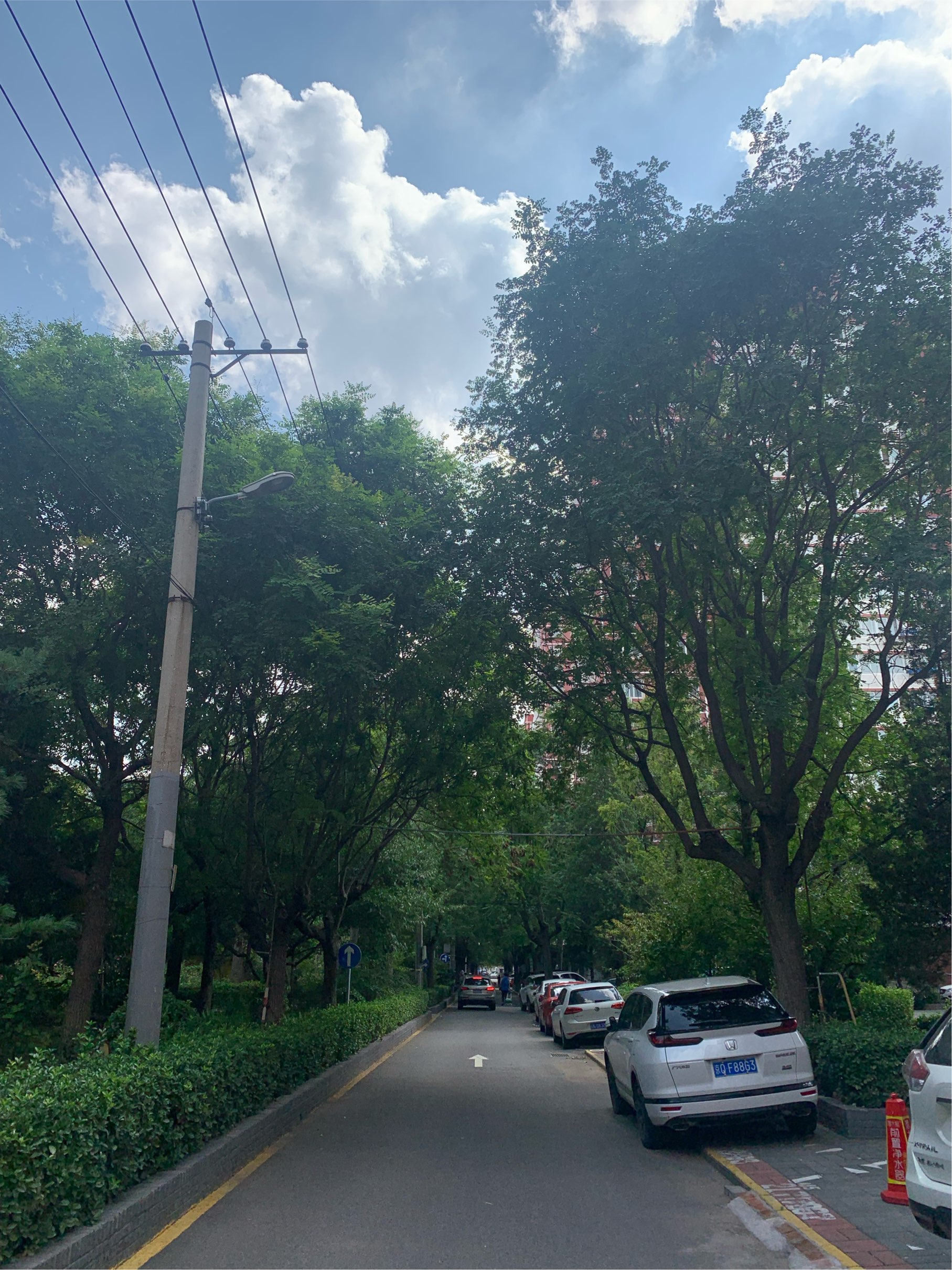 Beijing Chaoyang | 磨房北里社区223号楼_5