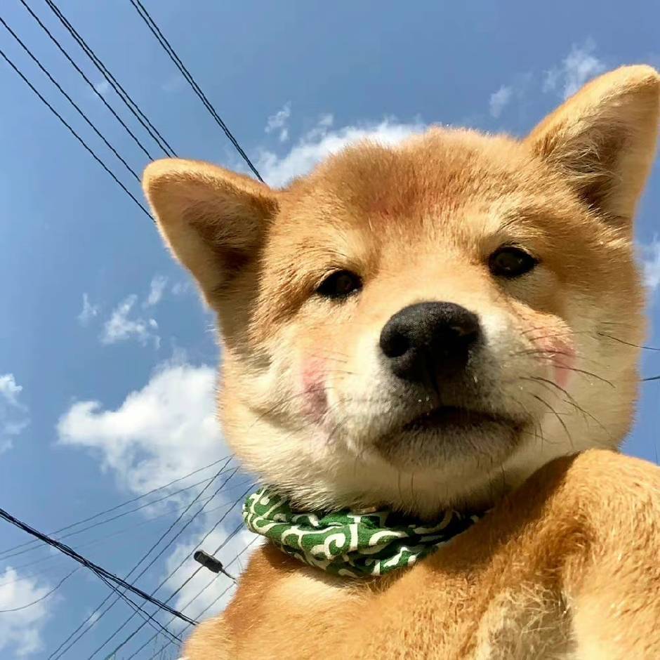 后来