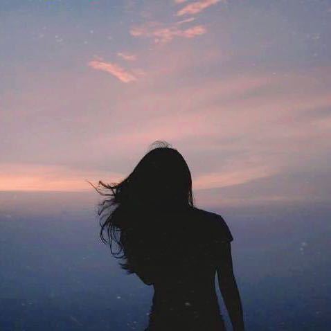 ✨    花颜与夏i