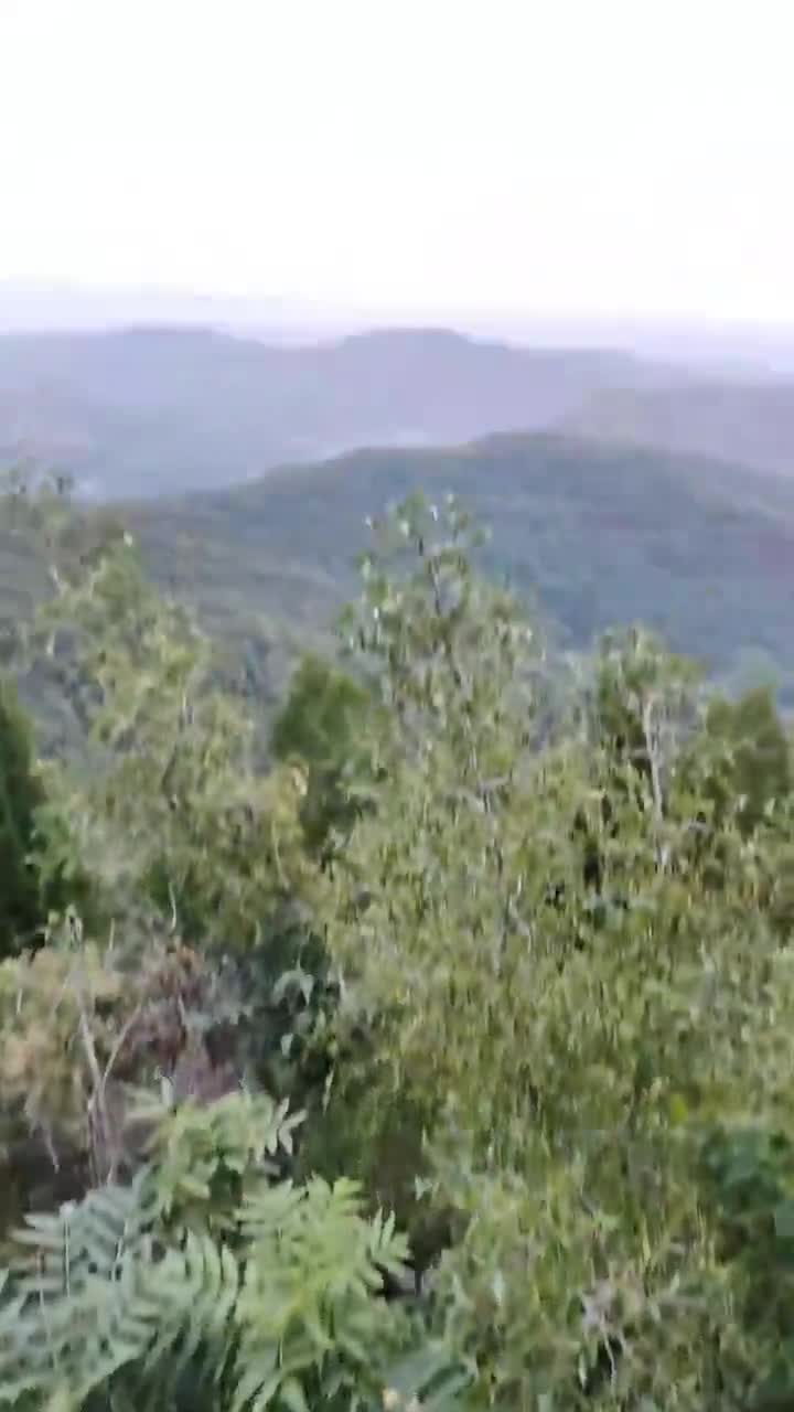 呼吸新鲜空气，爬山日常，第二段