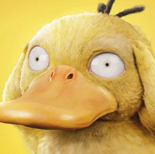 太阳长在大树上