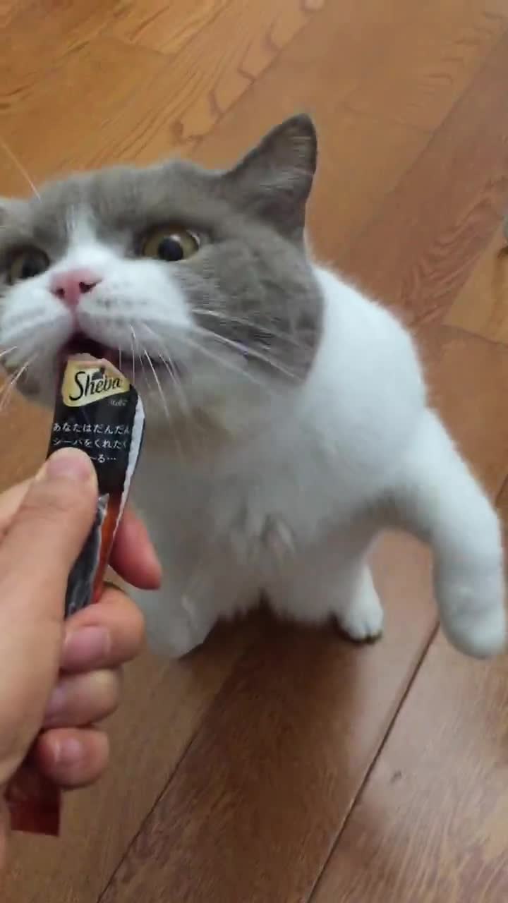 eating