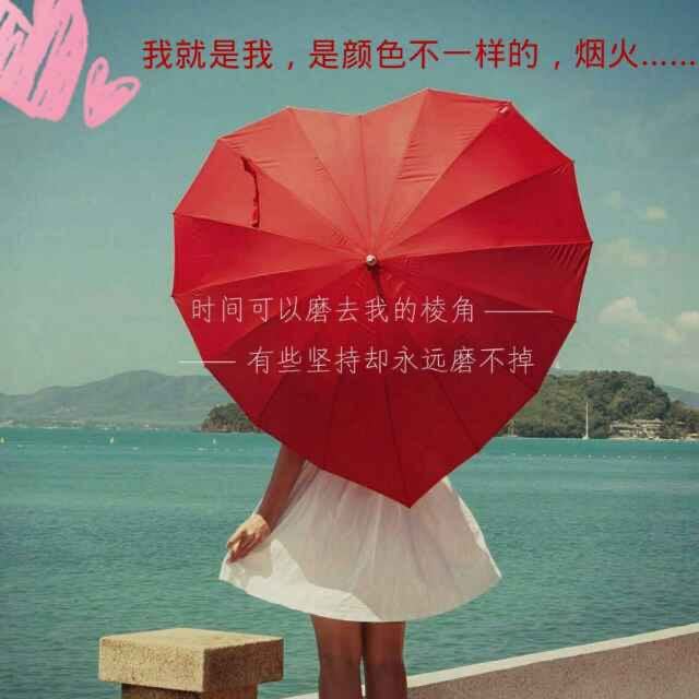 桃花雪-思念