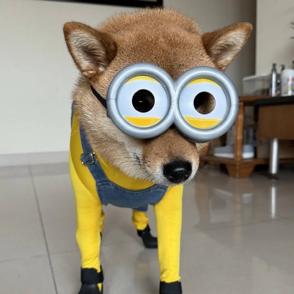 巷尾青年