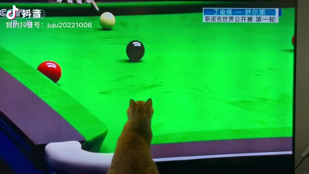 参与感…