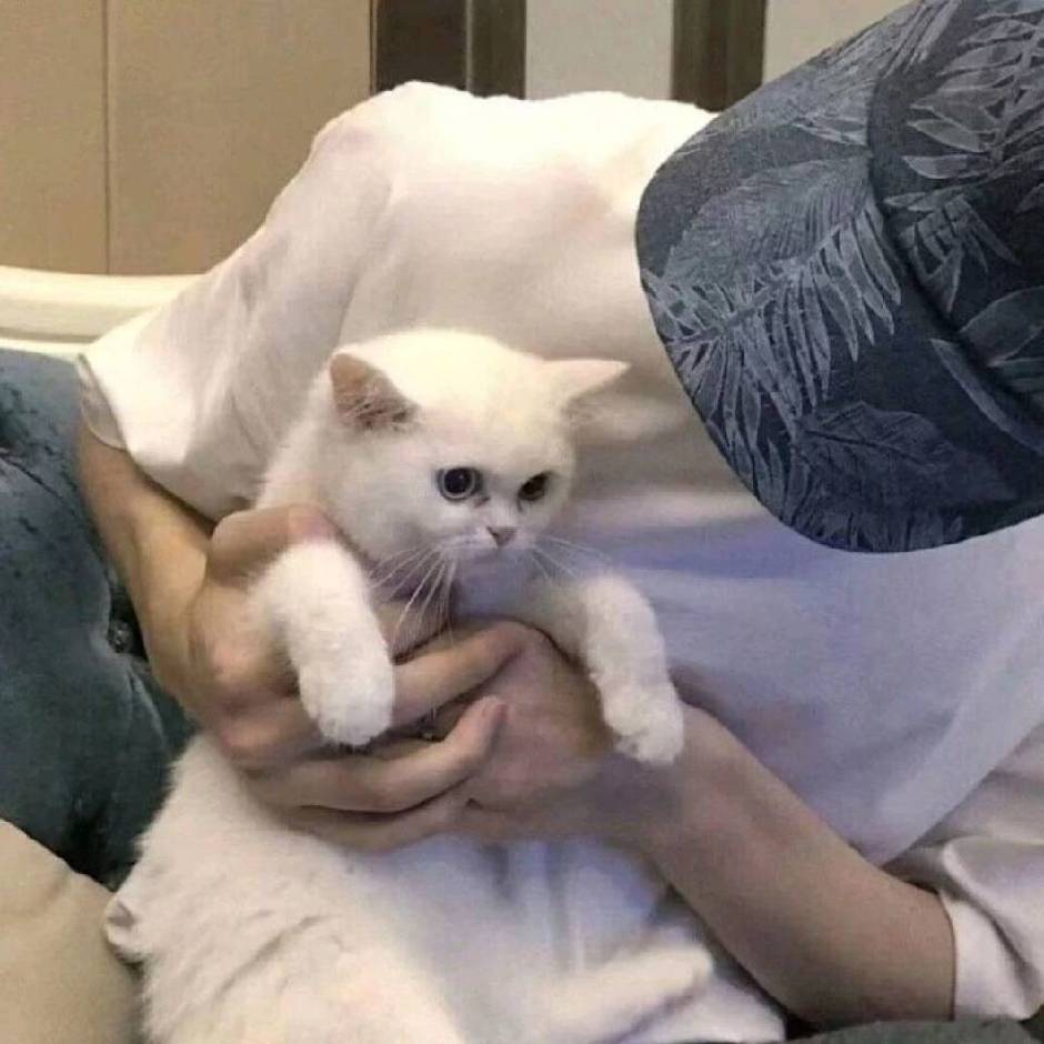 刘宇轩