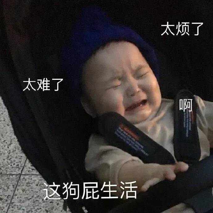西瓜撞地球//﹡