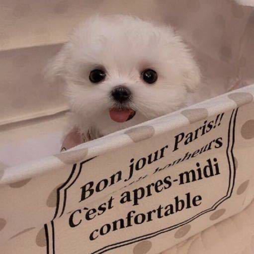 🍖