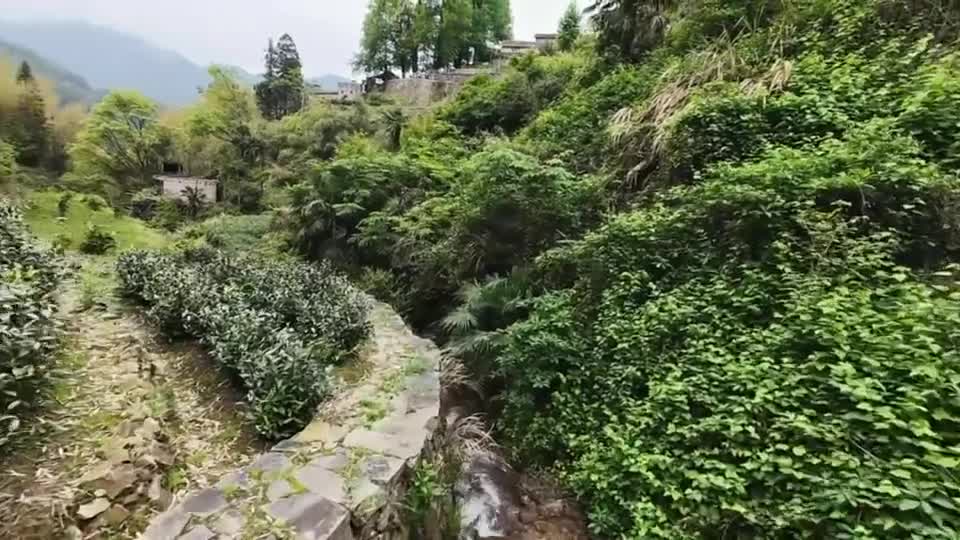 松阳^_^ ⛰️