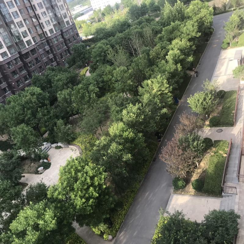 Beijing-Changping-👯‍♀️,Shared Apartment,Seeking Flatmate