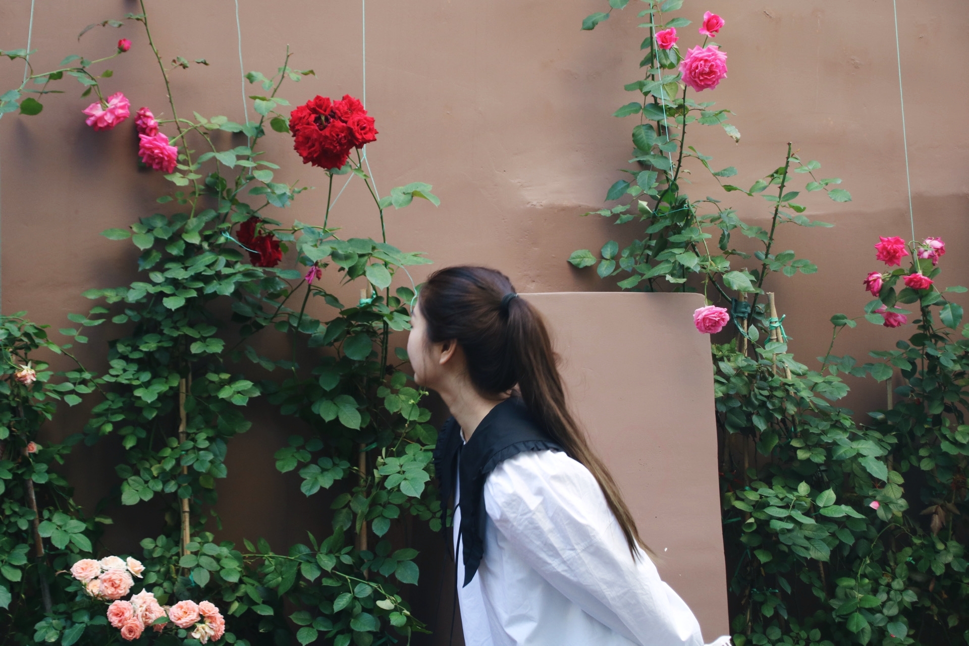 六月，新疆毕业旅行  房车组队 车捡人 