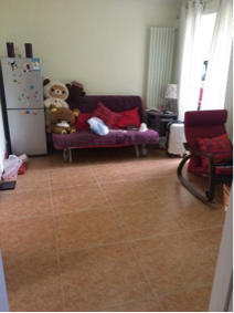 Beijing-Daxing-Cozy Home,Clean&Comfy,No Gender Limit,Chilled