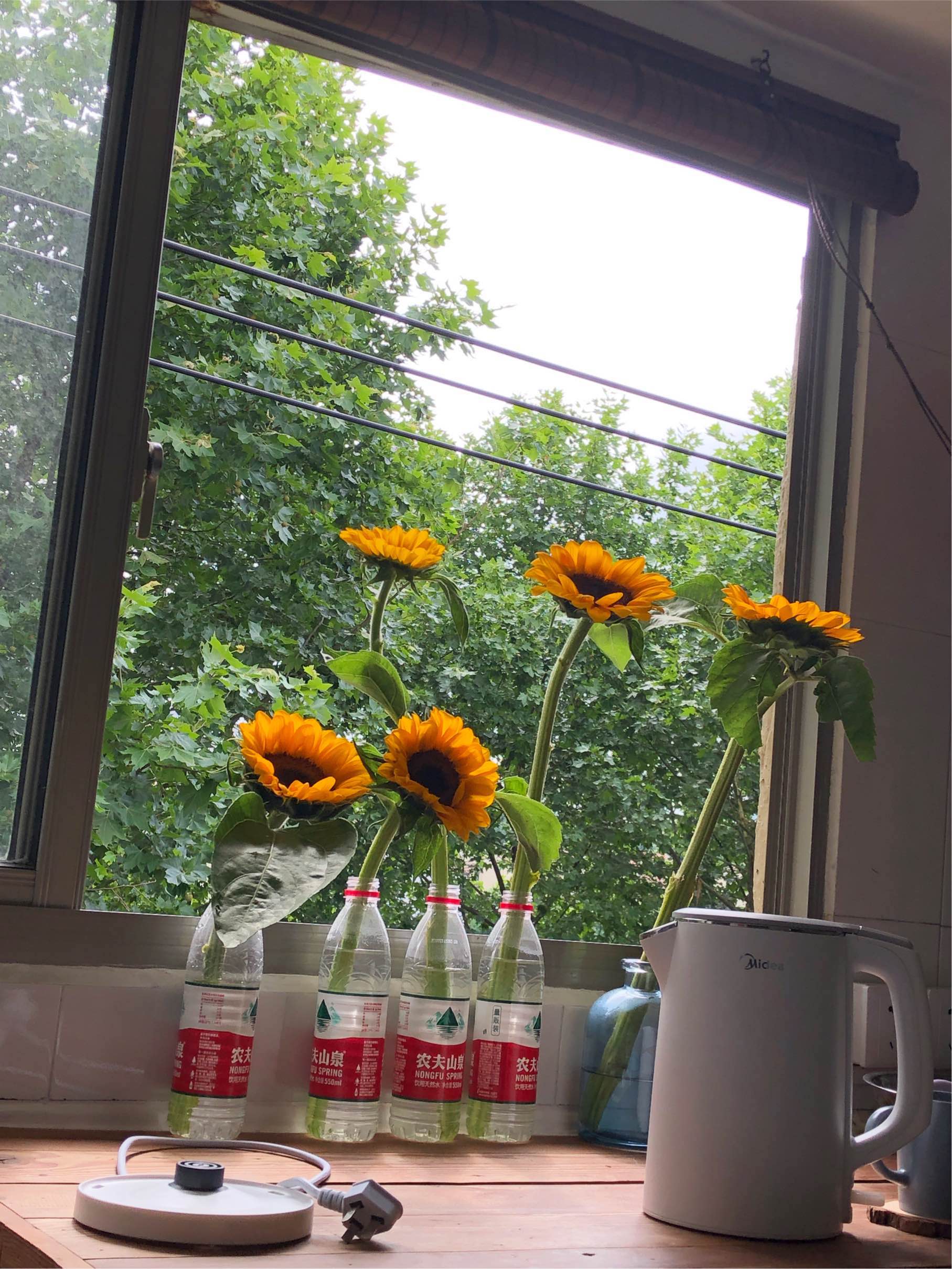 Shanghai-Xuhui-Cozy Home,Clean&Comfy,Hustle & Bustle
