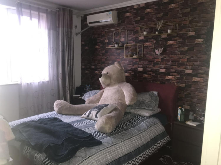 北京-朝阳-3 bedrooms,宠物友好,LGBTQ友好,长&短租