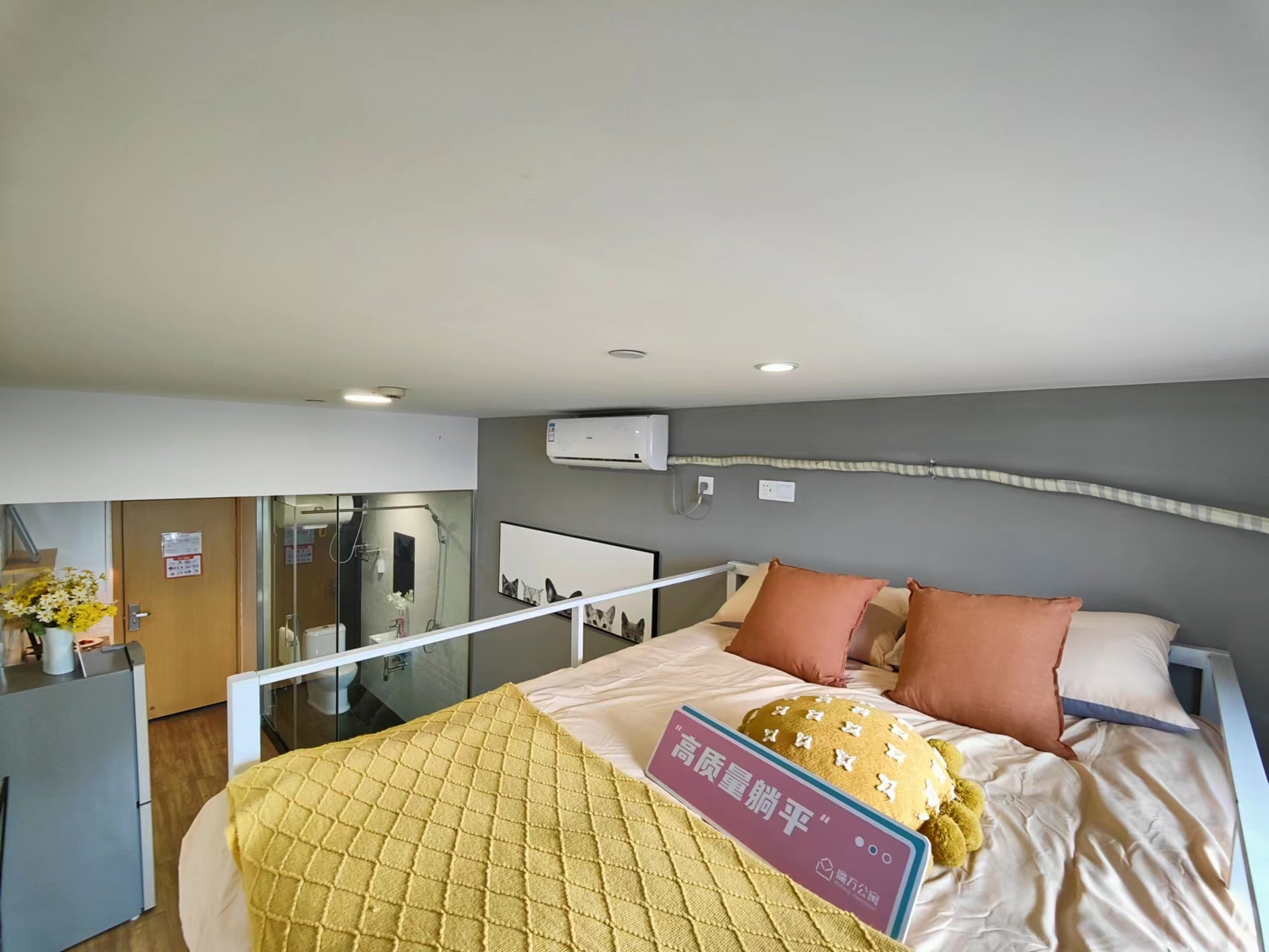 ShanghaiPudongCozy Gender Limit