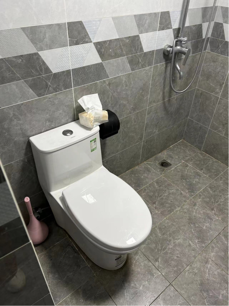 成都 高新區 | 新园大道_7