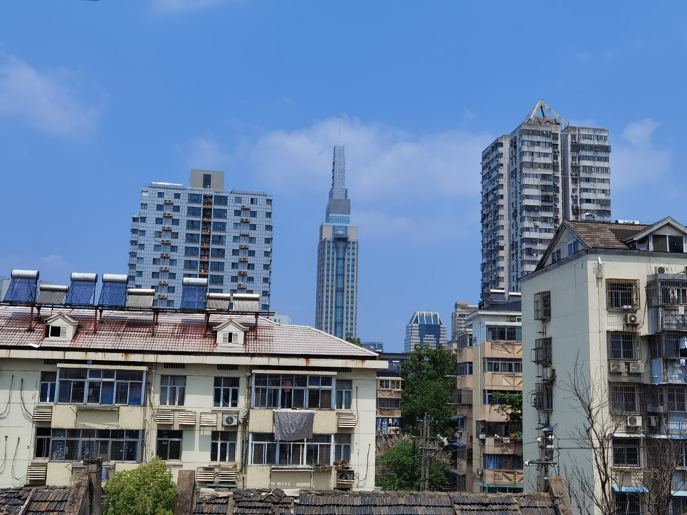 菩提本无数整租房源1