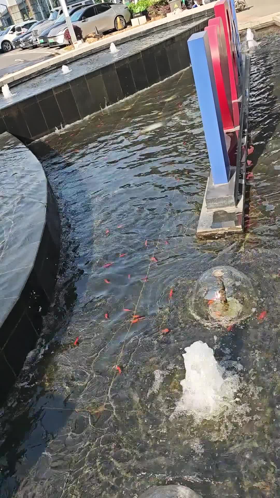  神仙房东看看我 