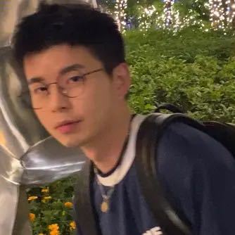 鸟姐姐是恐龙