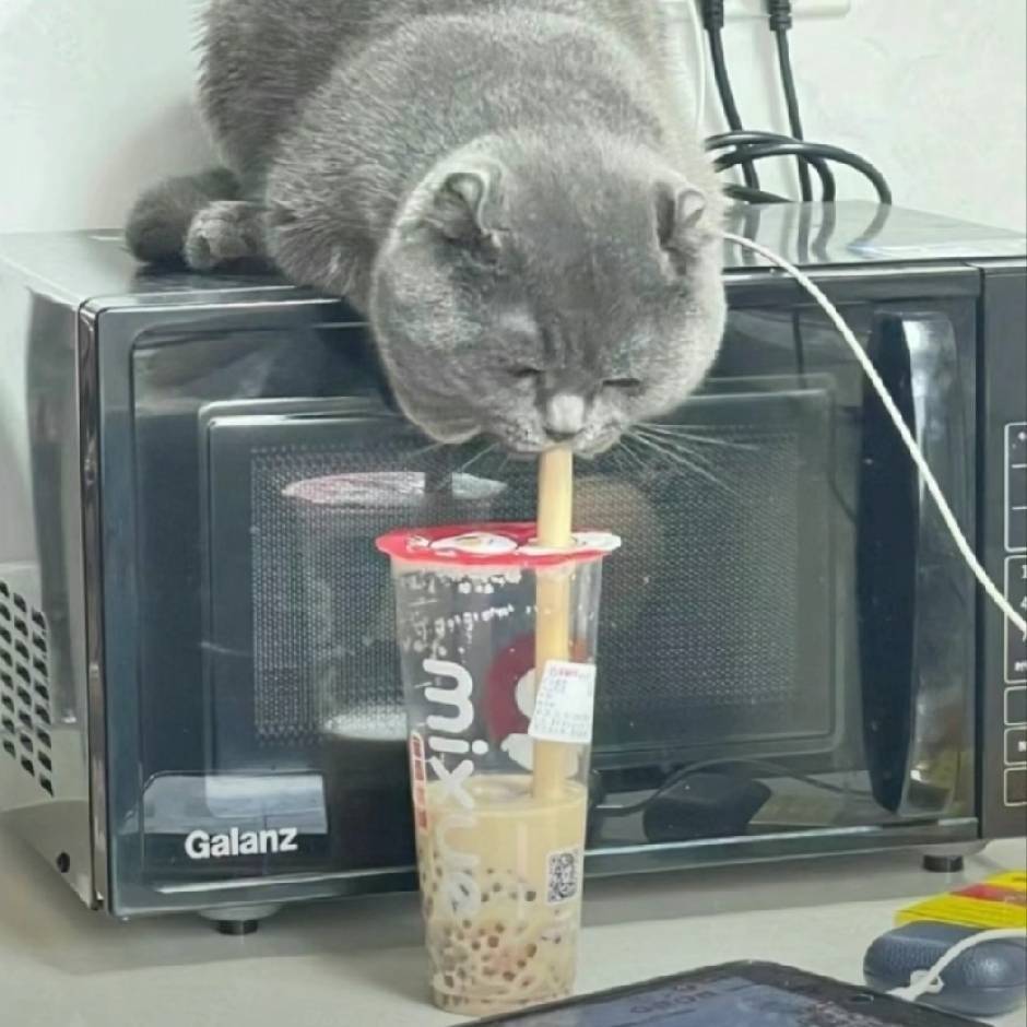 知来者之可追。