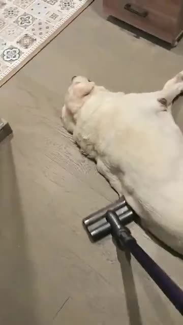 ＃brushing＃ emotional