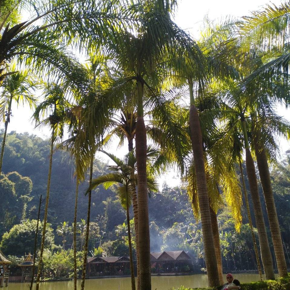 符号