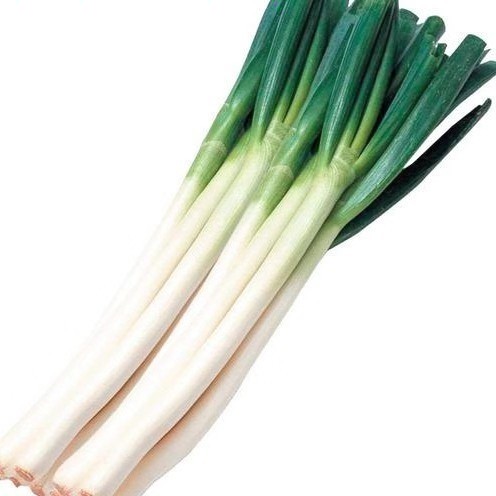 人菜瘾大铁头娃